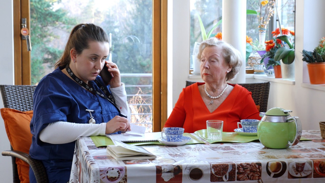 Demensarbeidslag - Frognermodellen