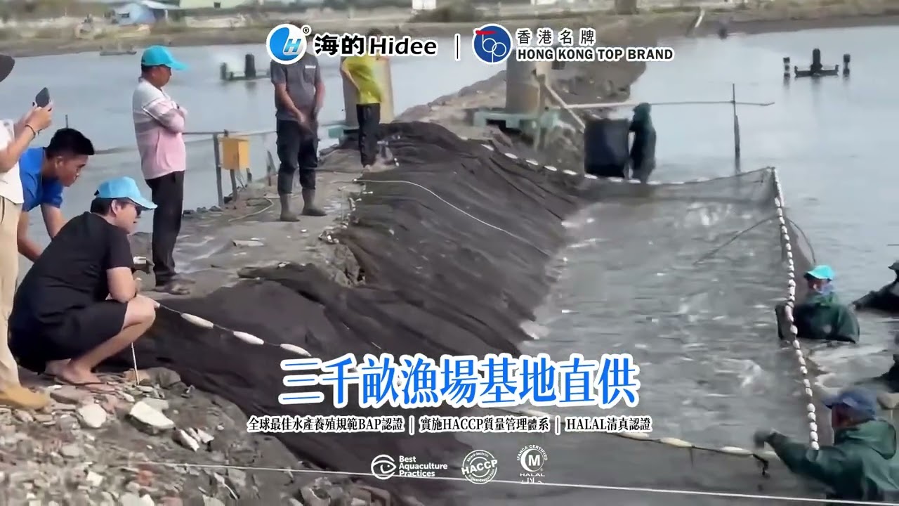 海的三千畝漁場基地航拍（二十八）