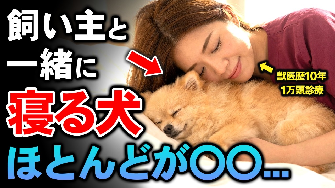【犬の本音】犬があなたと寝たがる気持ち5選