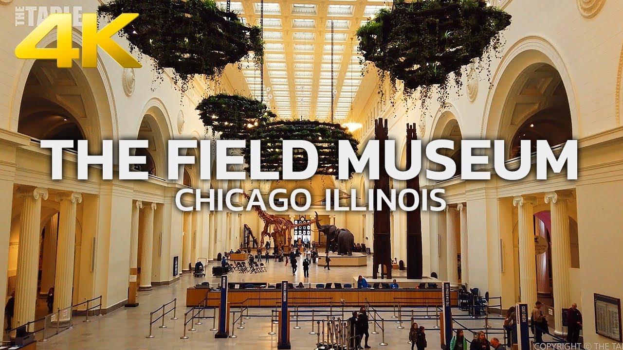 CHICAGO - The Field Museum of Natural History, Downtown Chicago, Illinois, USA, Travel, 4K UHD