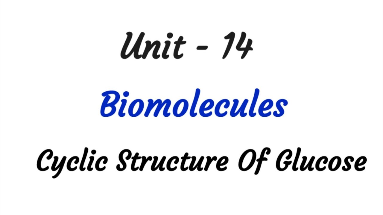 Cyclic Structure of glucose | Carbohydrates | Biomolecules | TN 12 chemistry | ncert | Unit 14 |