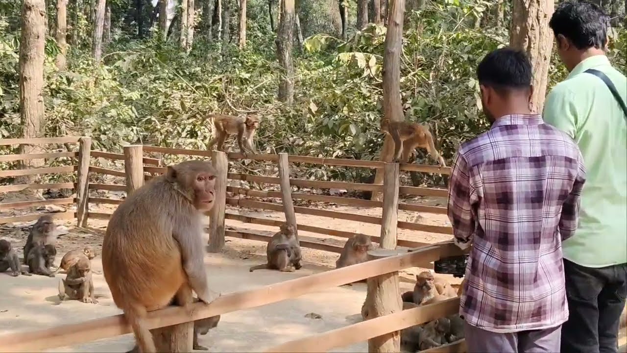 When kindness meets curiosity, moments like this happen.