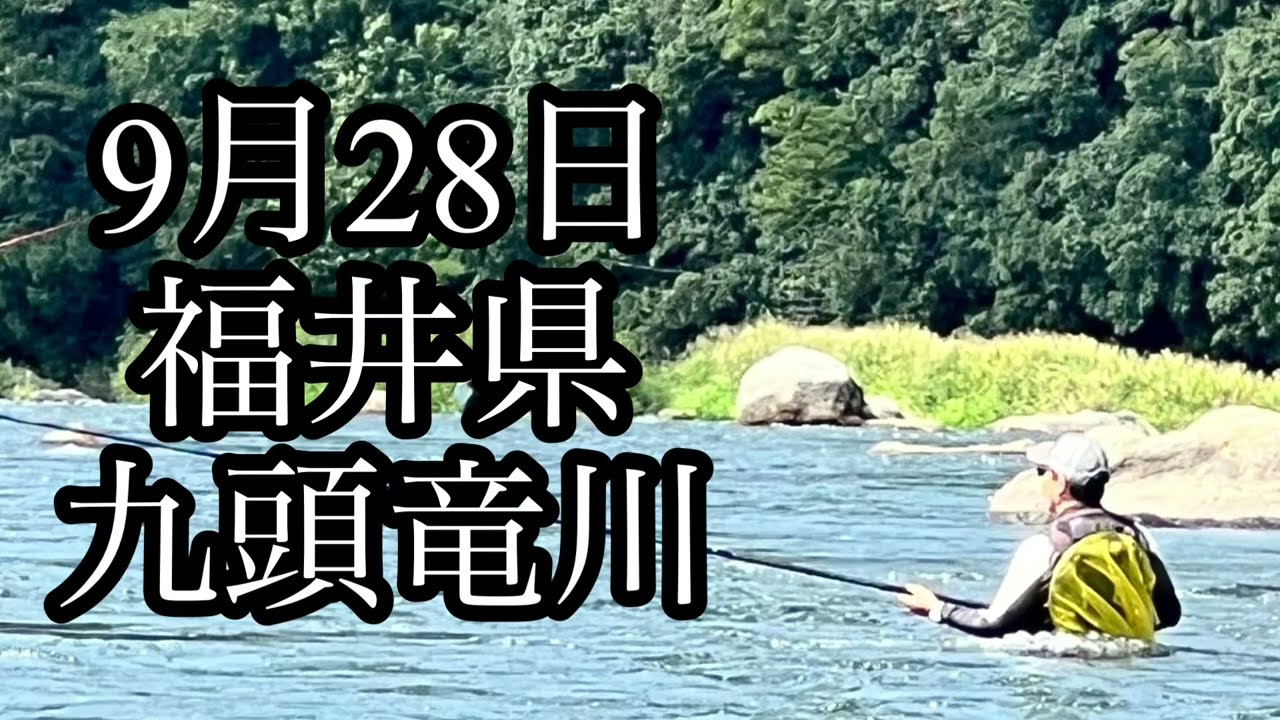 9月28日　福井県　九頭竜川　鮎釣り