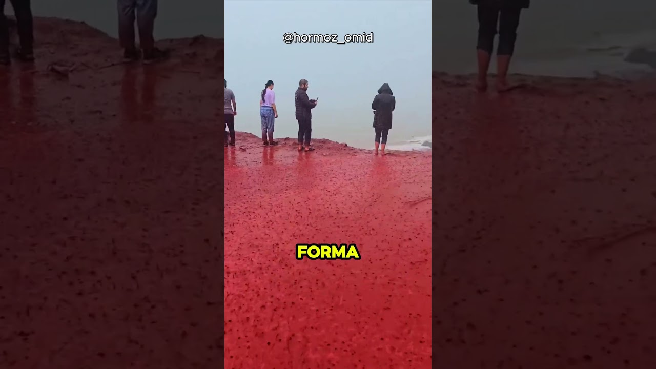 Los ríos de sangre 