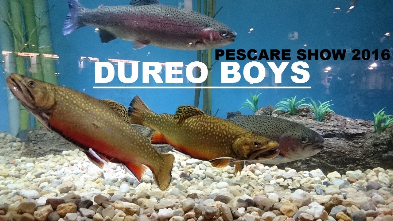 PESCARE SHOW 2016 con i DUREO BOYS