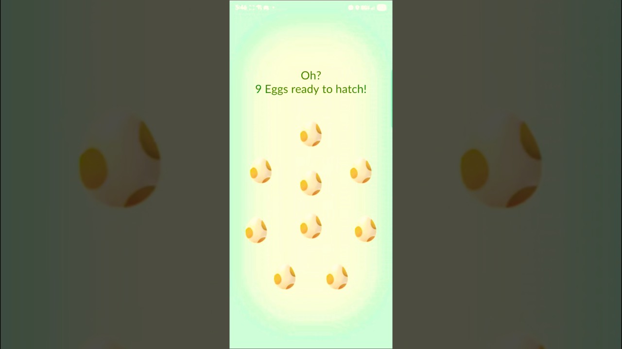 Ещё 9 яиц 5 км! Можно ли получить блестящий Indeedee? Pokemon Go! #pokemon #pokemongo #pok&eacute;mon