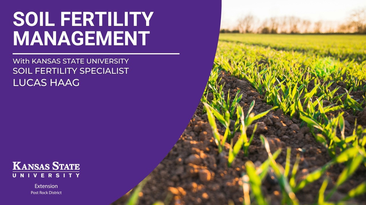 Meeting Crop Nutrient Needs in Lean Times