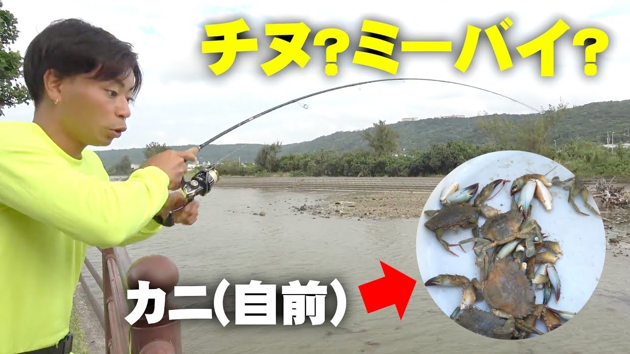チヌ？ミーバイ？カニが化ける！わらしべフィッシング【本命編】How to fish seabream or grouper