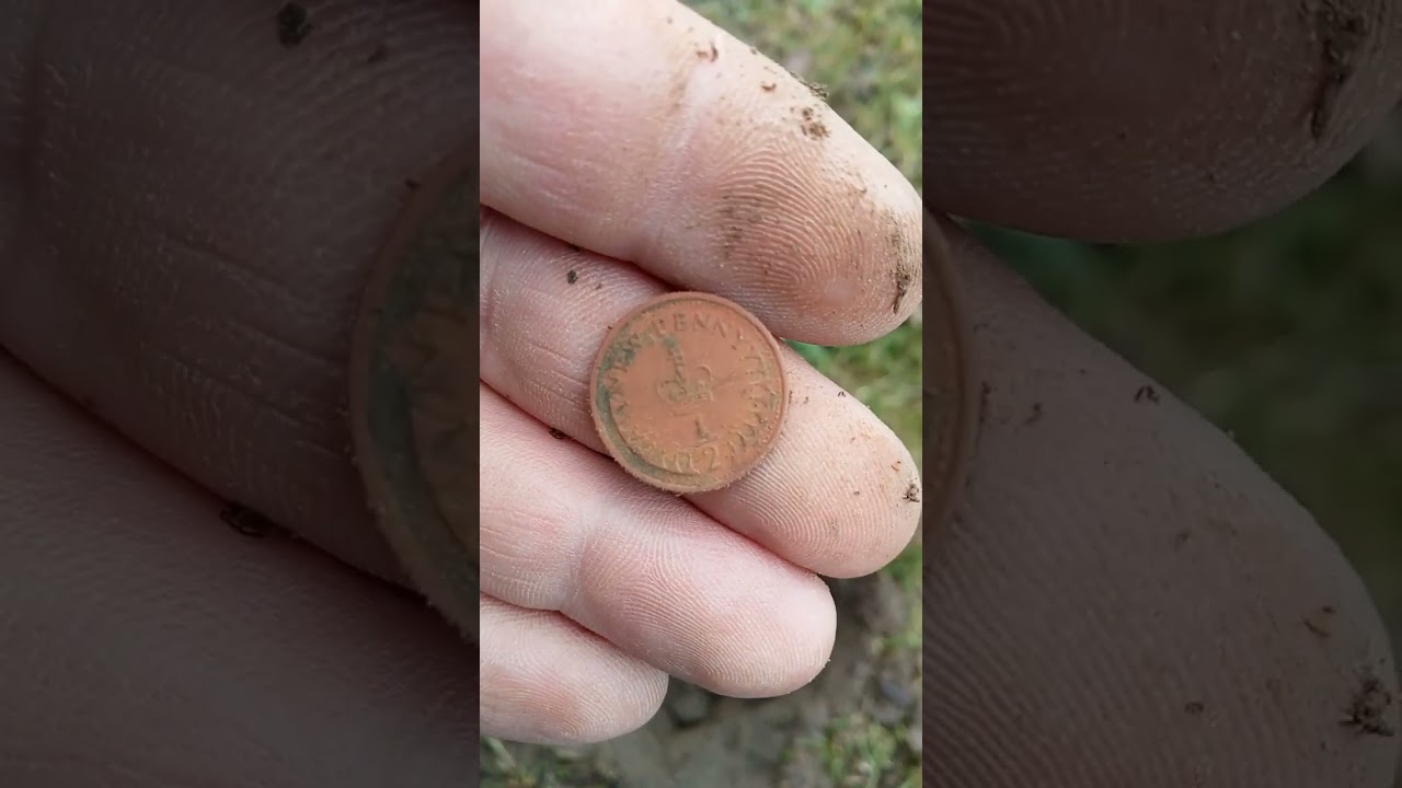 Epic finds from the Cromwell horse farm 💥