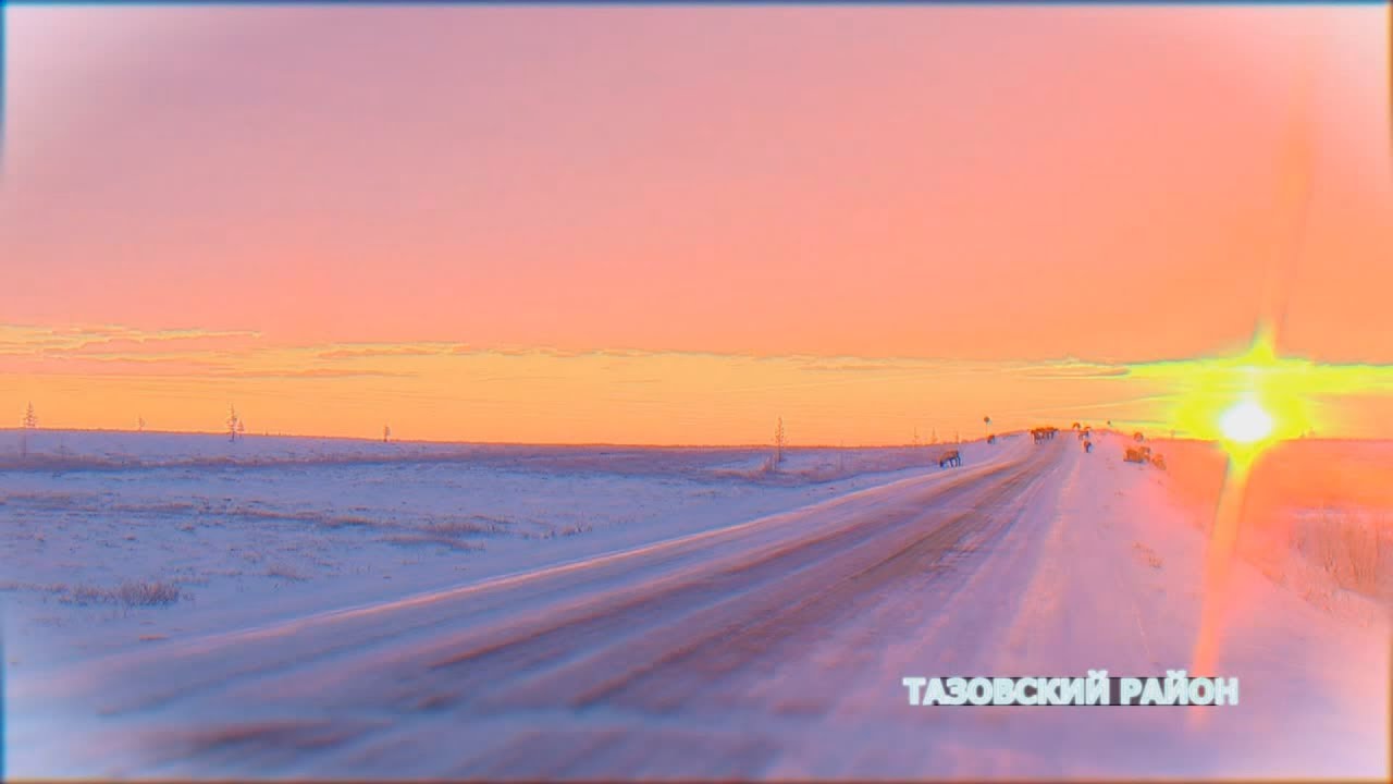 Тазовский район - Ролик