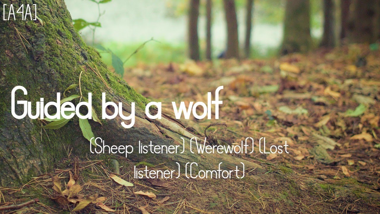 [A4A] Guided by a wolf (Sheep listener) (Werewolf) (Lost listener) (Comfort)