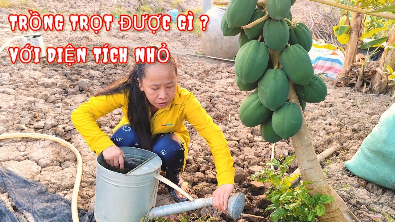 🌿|60| Trồng trọt được gì ? Với diện tích nhỏ.