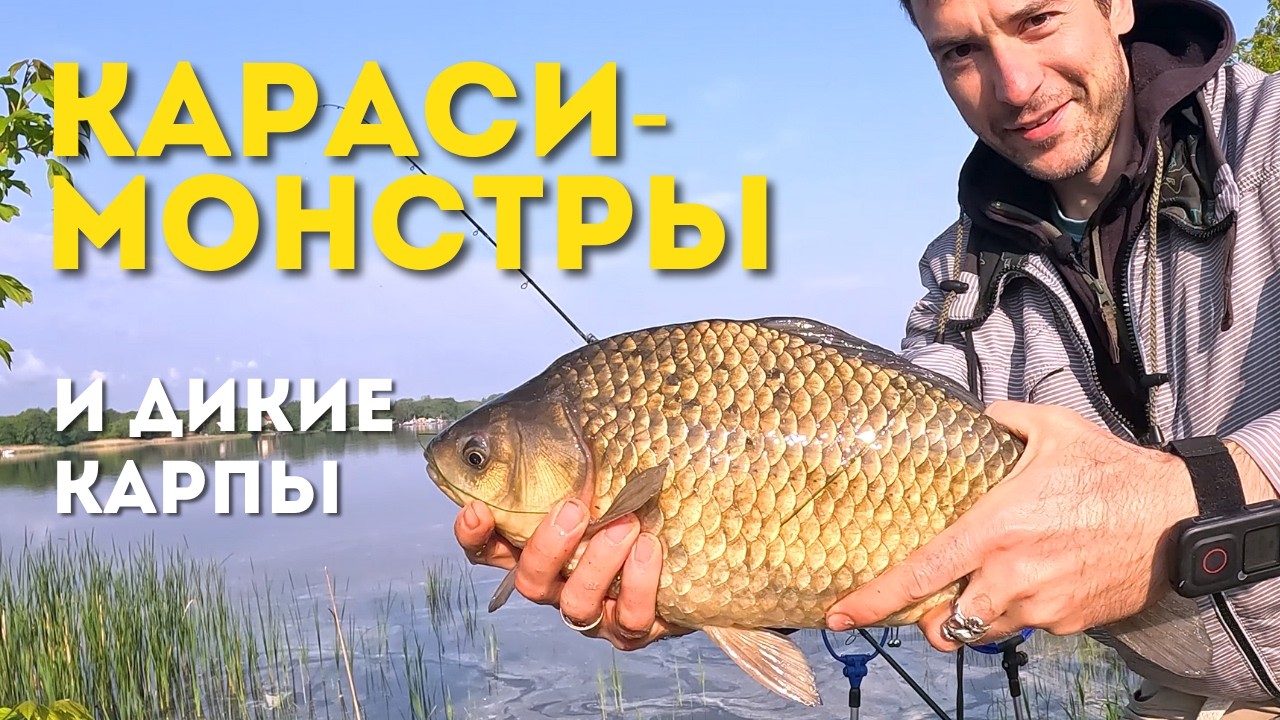 Трофейные Караси: Показываю Лучший Клёв Сезона!