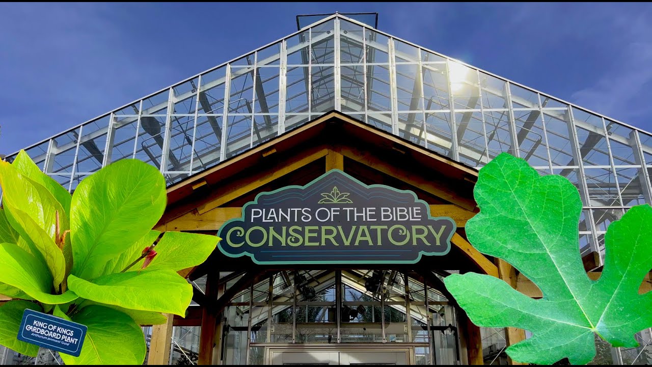 Plants of the Bible?!🙌 | Surprising Plants Mentioned in the Bible | Relaxing Greenhouse Tour