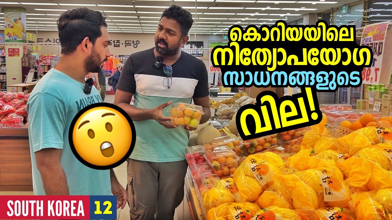 EP🇰🇷12 - എങ്ങനെ ഇവിടെയൊക്കെ ജീവിക്കും? 😳കൊറിയയിലെ ജീവിതച്ചിലവ്! Cost of living in South Korea