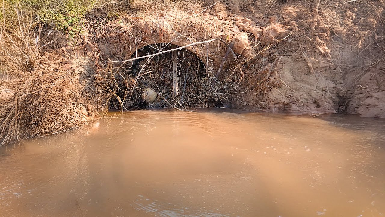 Extreme Rural Culvert Cleaning Restores Forgotten Farm Road