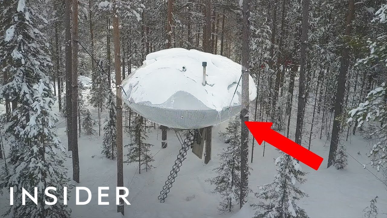 8 Tree Houses That Are Out Of This World