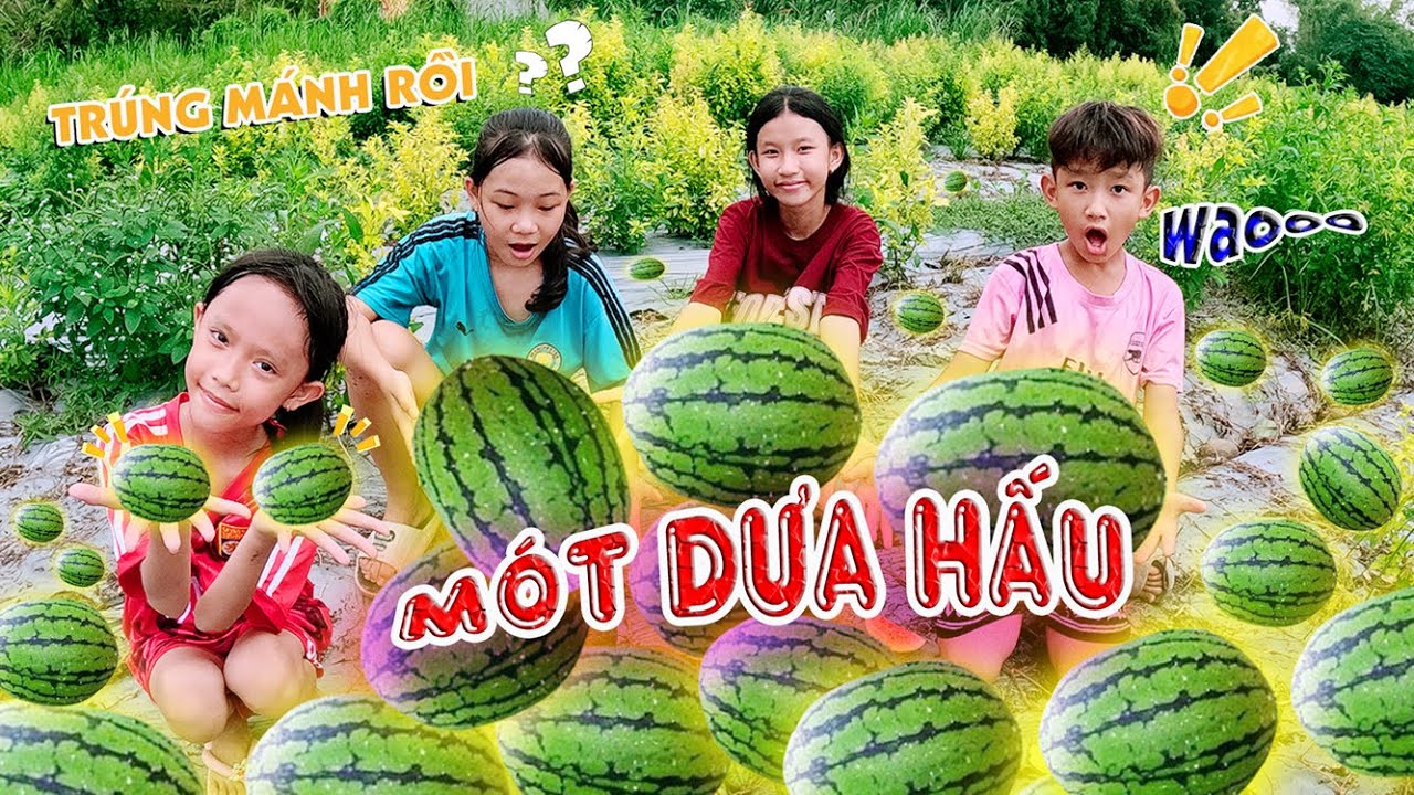 Đi Mót Dưa Hấu 🍉 Go Pick Watermelon | Chú Phước Gà
