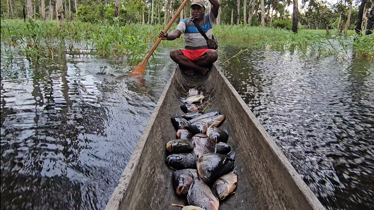 Large tilapia fishing nets using wooden boats