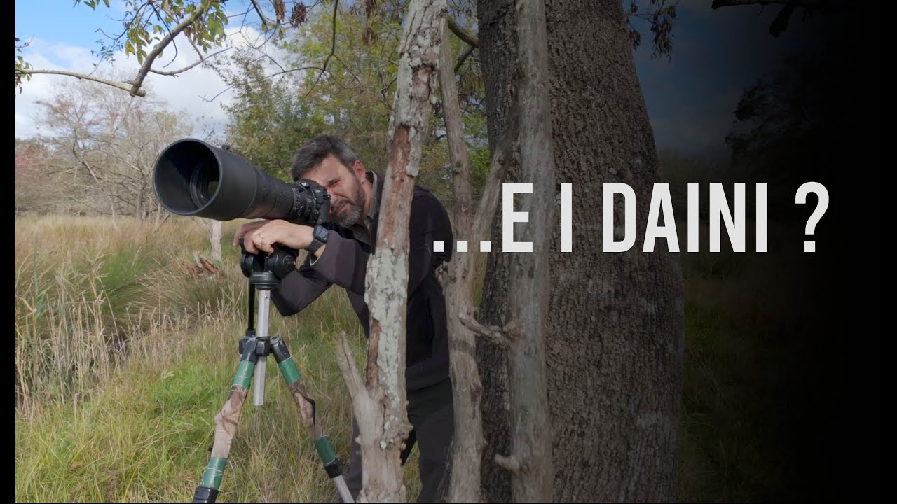 Dove sono finiti i Daini? - Riflessioni fotografiche