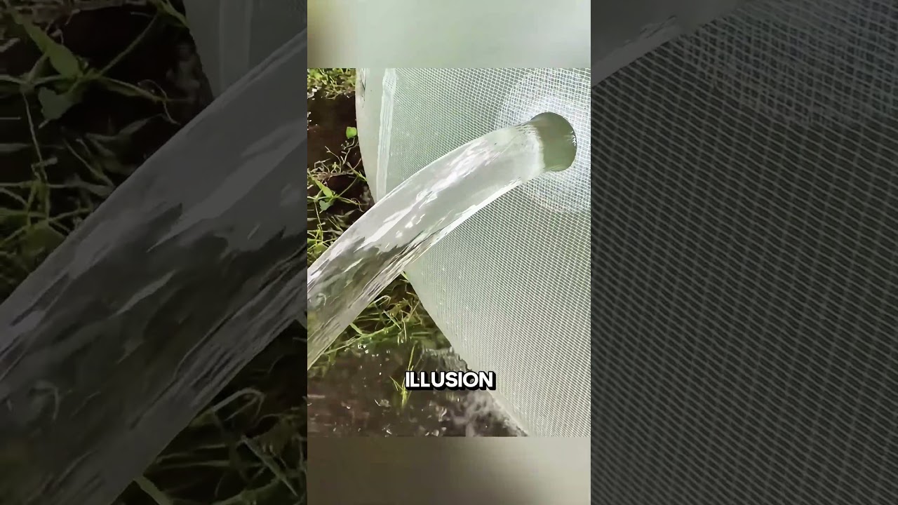 #дубляж