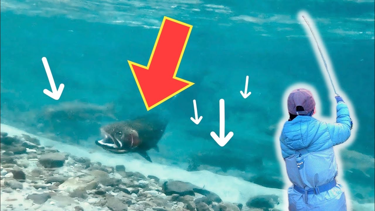 【Underwater】 This Is How Trout Strike! Stunning Fly Fishing Footage in Crystal Clear Water
