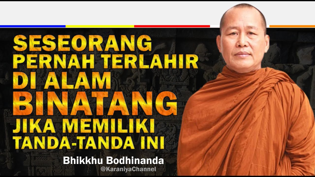 TANDA-TANDA SESEORANG PERNAH TERLAHIR DI ALAM BINATANG | BHANTE BODHINANDA | Karaniya Channel