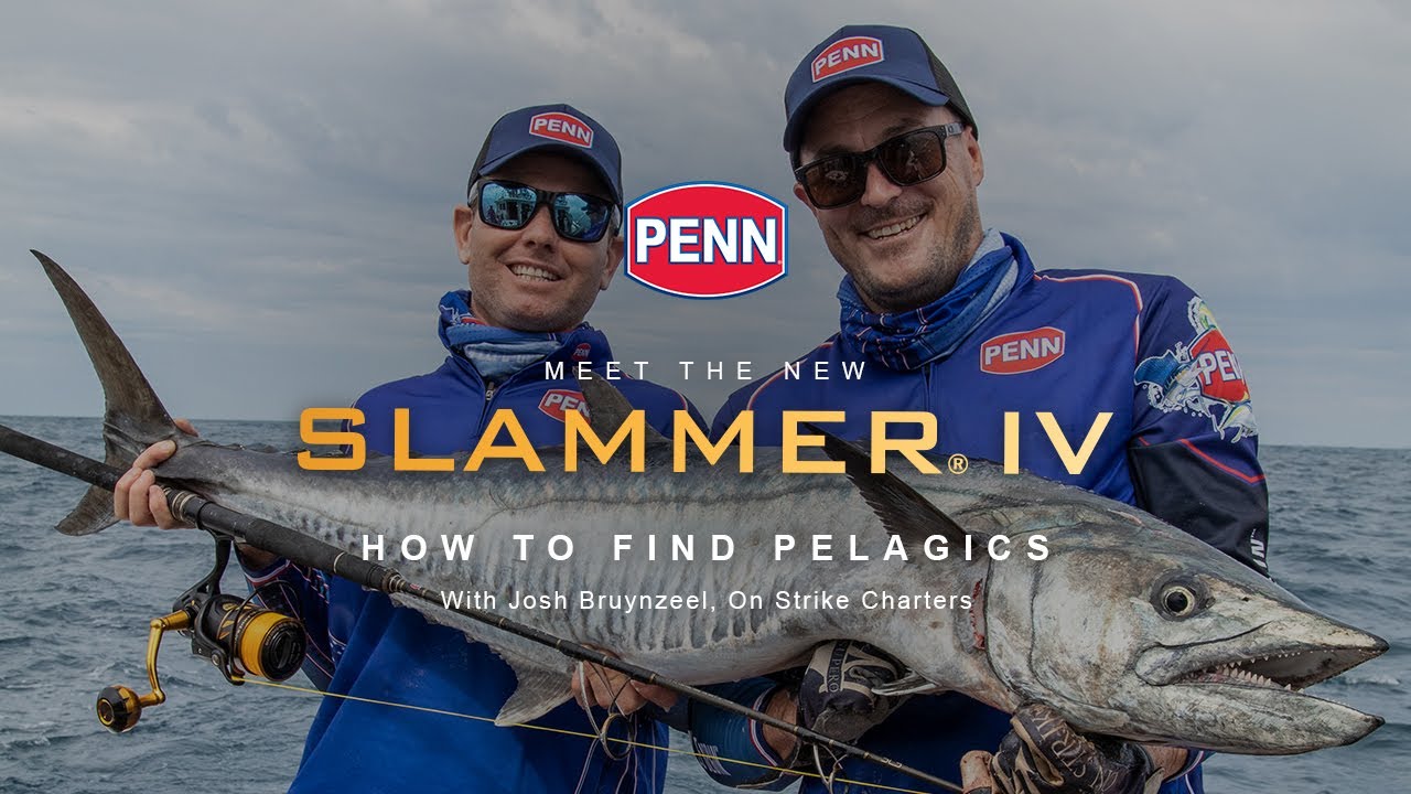 Slammer IV - How To Find Pelagic Fish
