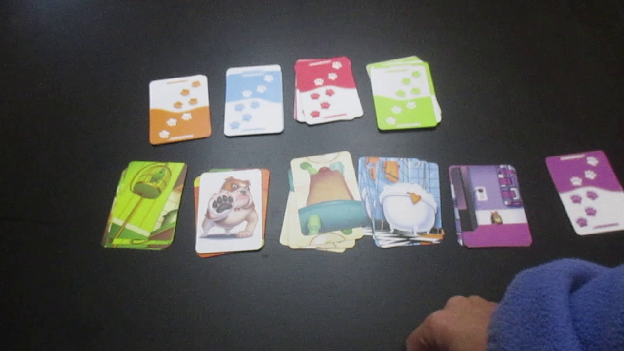 How to play Pounce