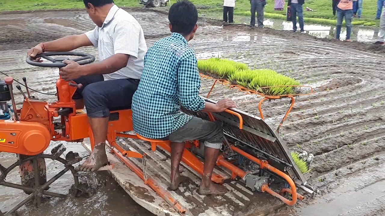 V.S.T rice transplanter testing in Manipur