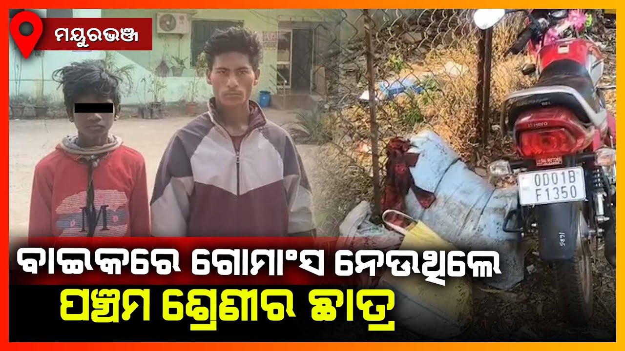ଗୋ ମାଂସ ଚାଲାଣ କରୁଥିବା ଦୁଇଜଣଙ୍କୁ ଧରିଲେ ସ୍ଥାନୀୟ ଲୋକେ || MAYURBHANJ NEWS