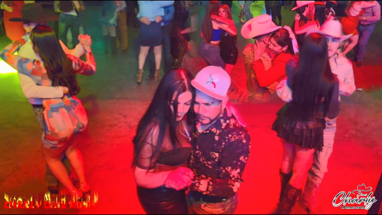 Chihuahua esta RIFANDO en los bailes perrones del Norteño Sax puro regional mexicano mi primo