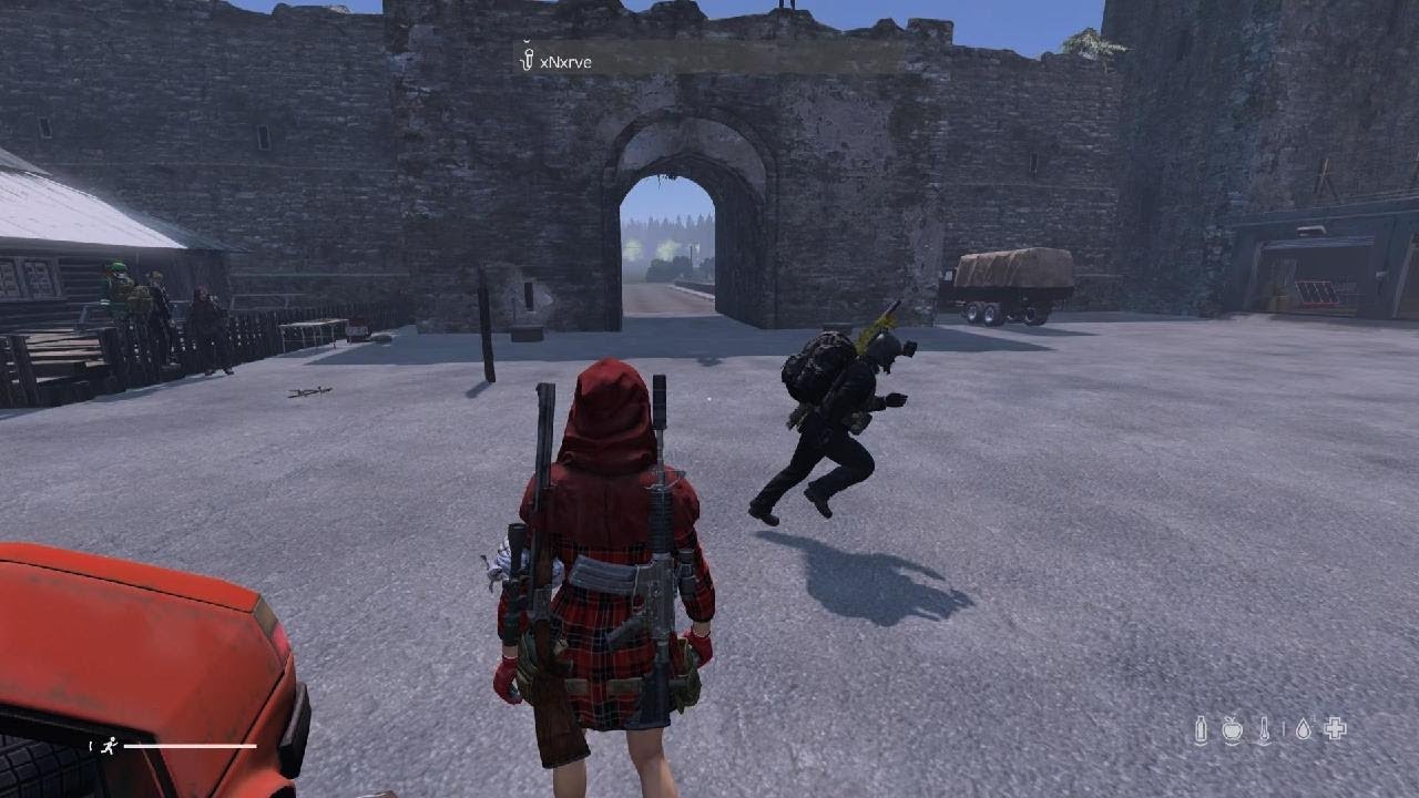 DayZ_20260128000712