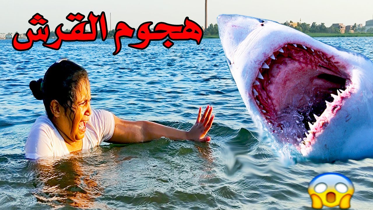 هجوم سمكة القرش فى النيل😱