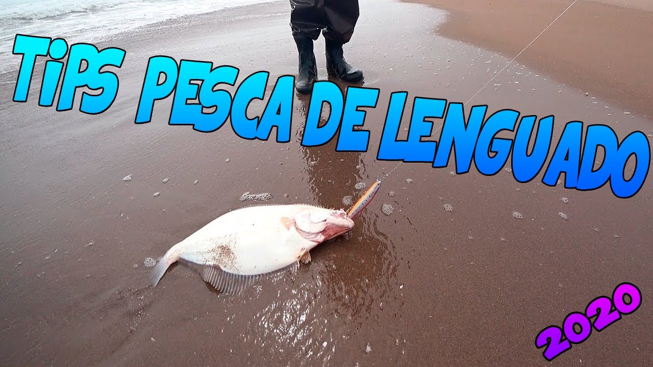 10 TIPS PARA PESCA DE LENGUADO -2020