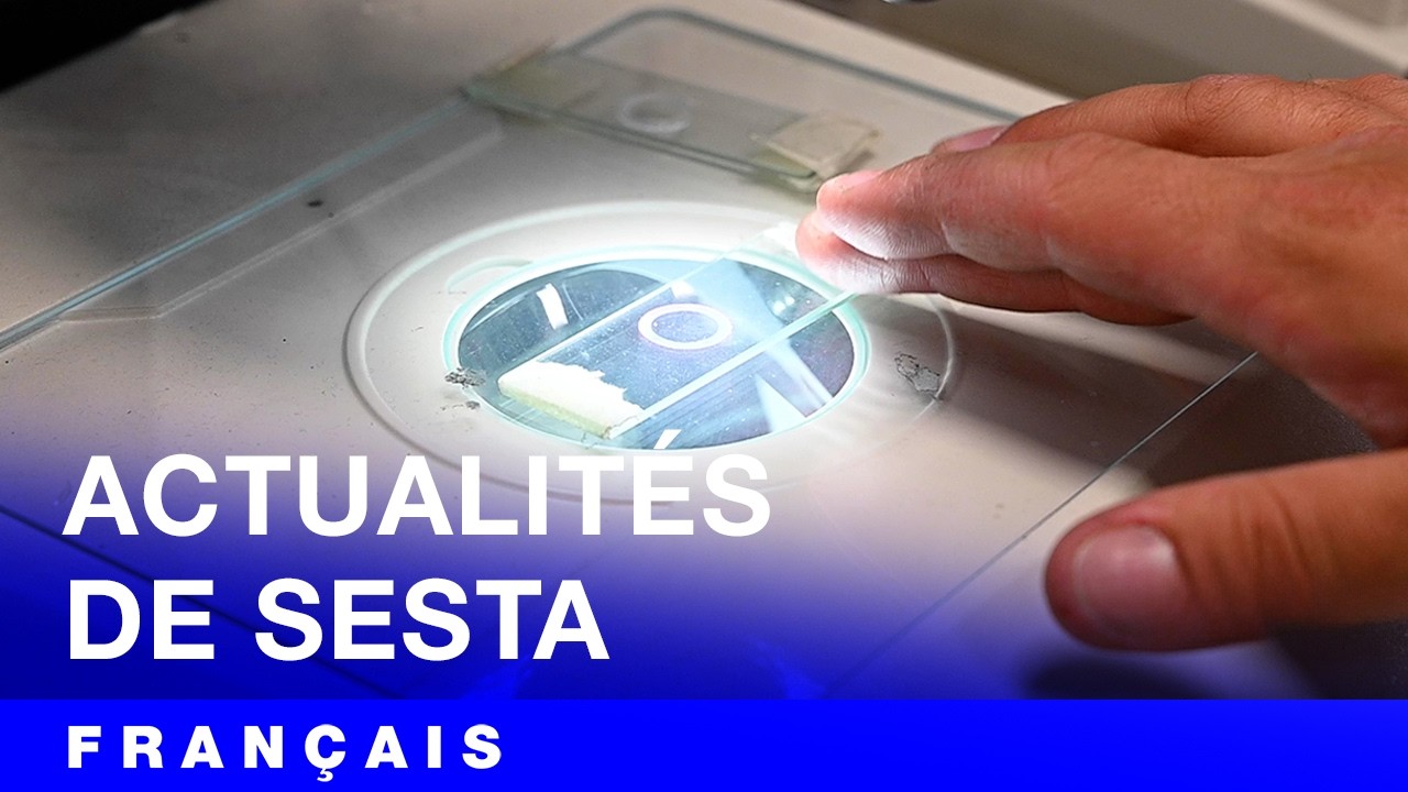 Nouveautés de Sesta! Notre laboratoire et nos nouvelles certifications.