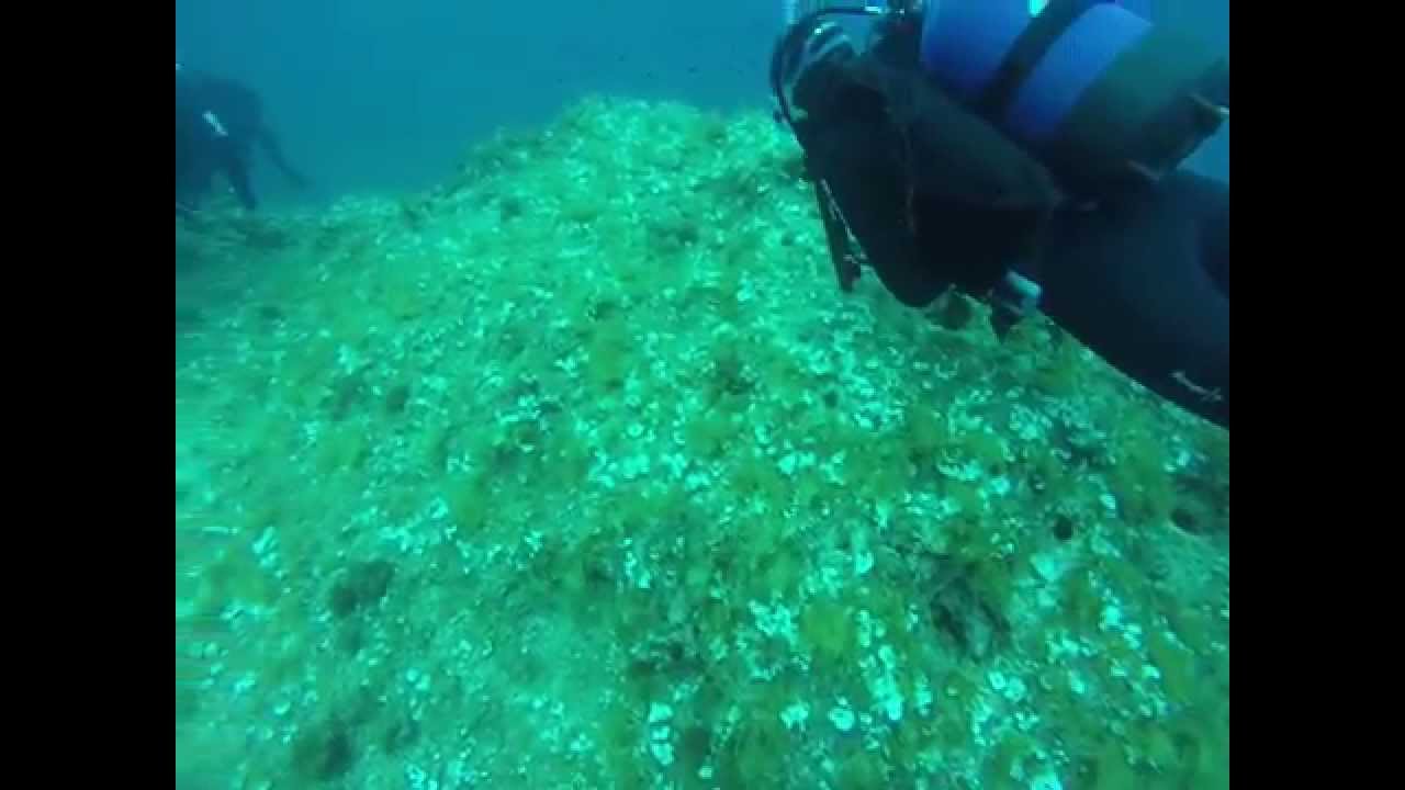Day 3 Dive 1 with Ornella 1/3