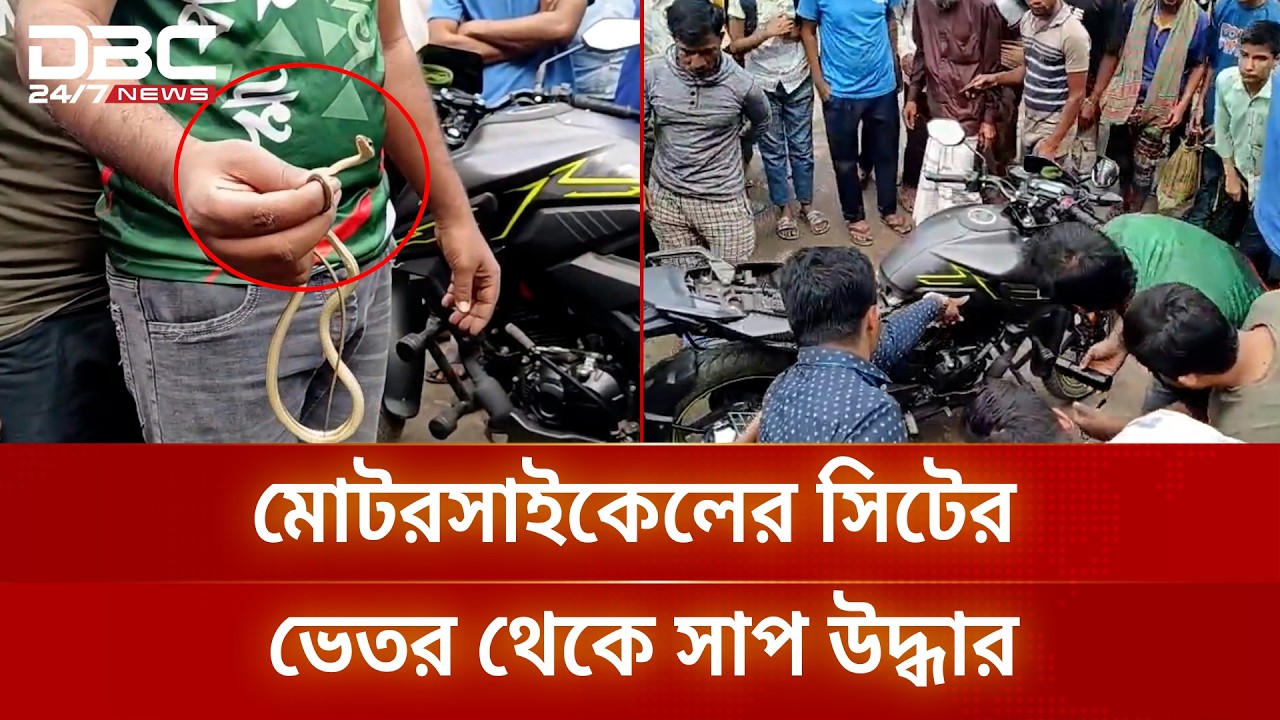 ঝিনাইদহের কালীগঞ্জে মোটরসাইকেলের সিটের ভেতর থেকে সাপ উদ্ধার | DBC NEWS