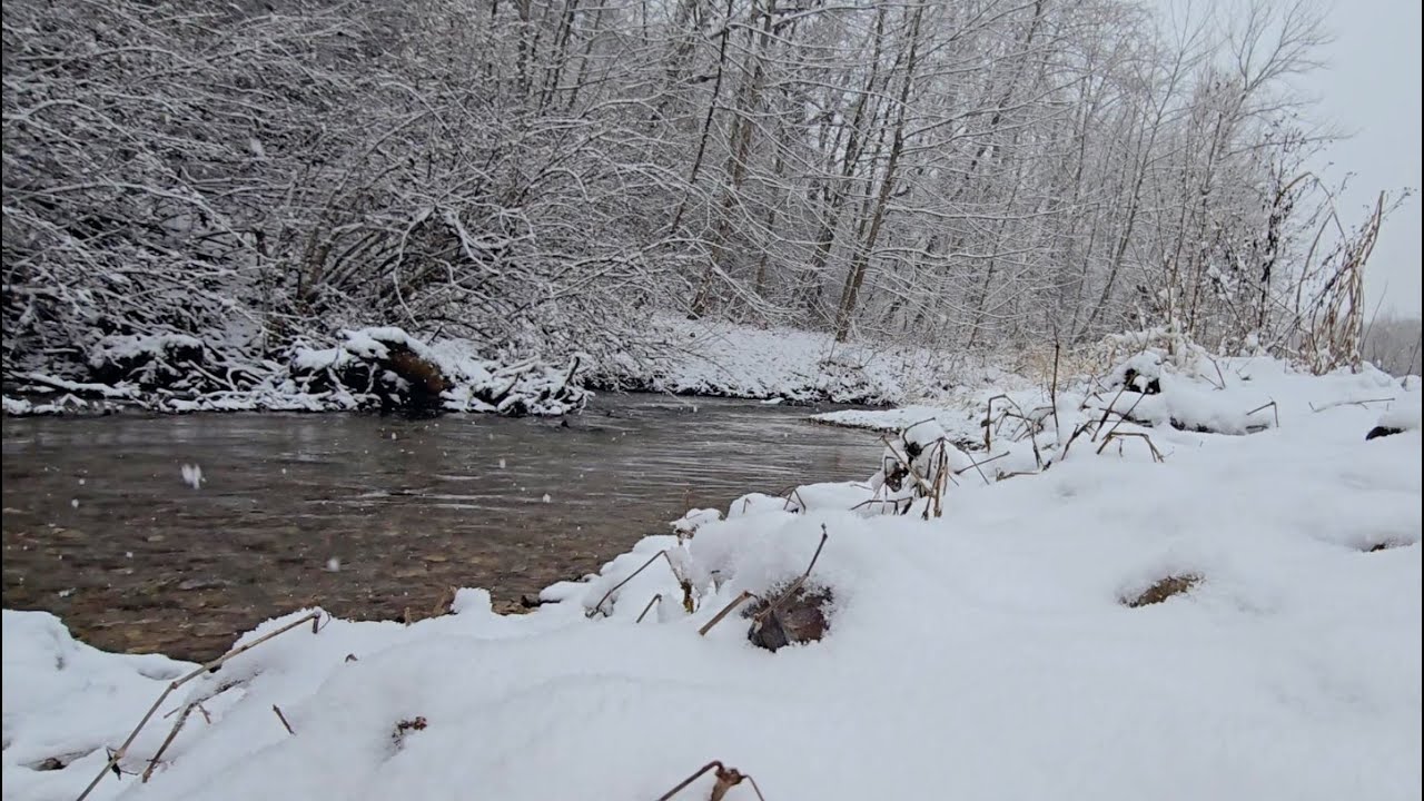 1 HR Gentle Snowfall & Peaceful Creek Sounds in Winter Wonderland (Background) - No AI/Music