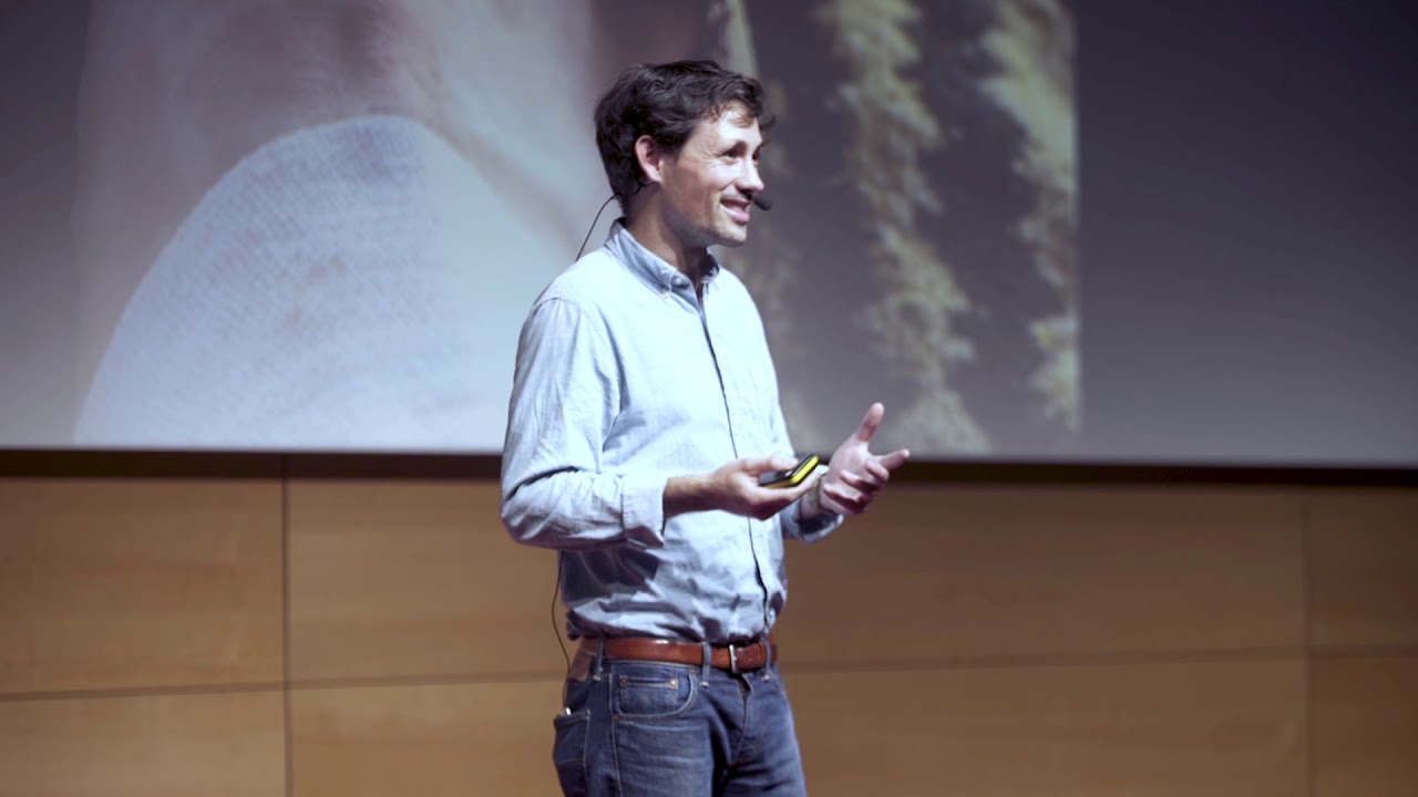 La vie est une aventure audacieuse ou elle n'est rien | Matthieu Tordeur | TEDxGEM