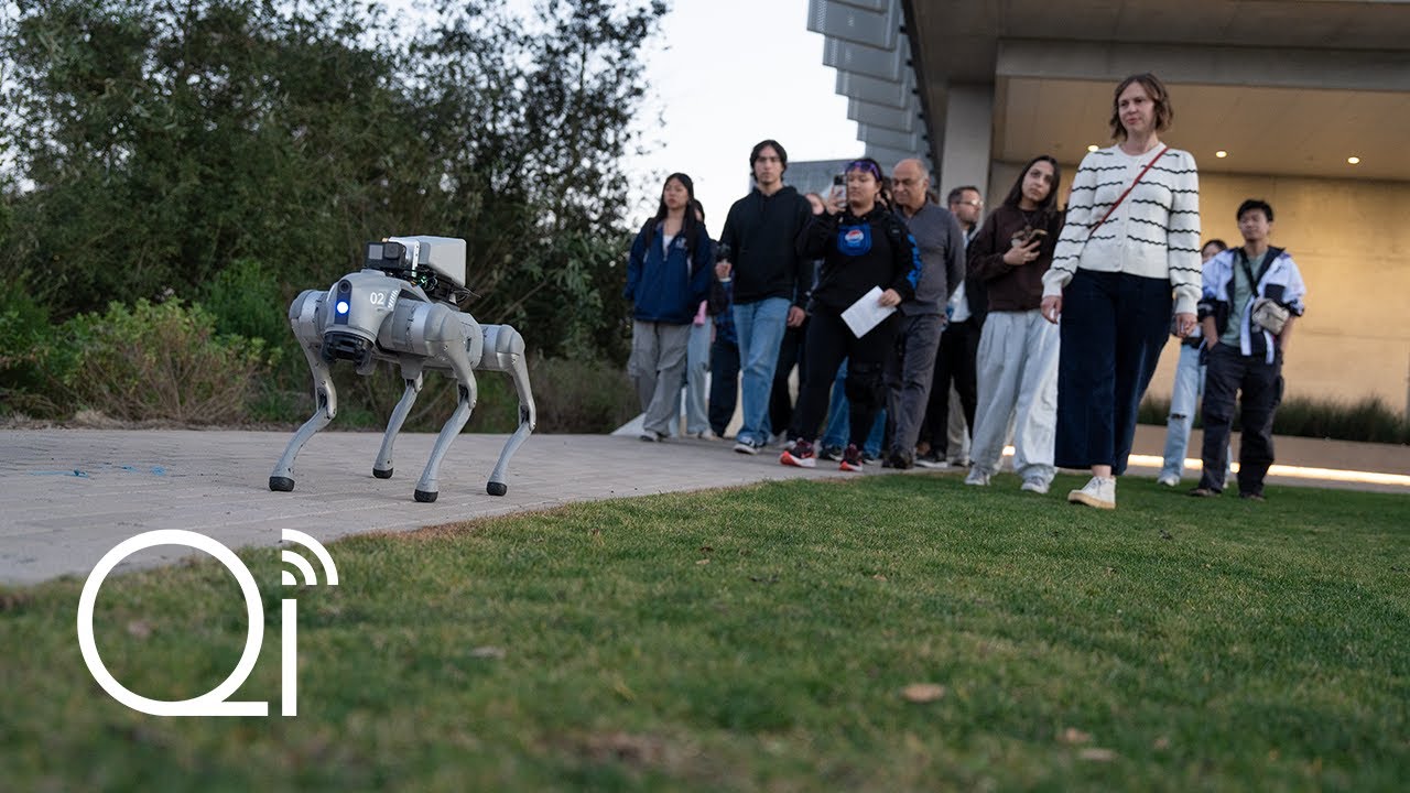 IDEAS Performance | BFF: Dog Walk