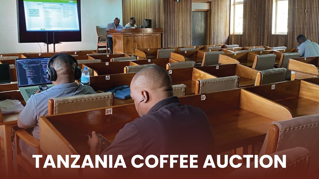 TANZANIA COFFEE AUCTION 15 JANUARY  2026
