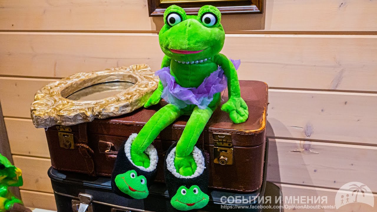 Музей Дмитровской Лягушки