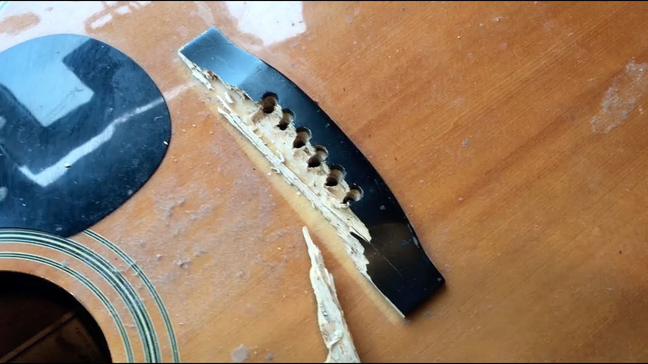 Tanglewood TW400N Crushed Bridge и другие выпуски, а также еще больше пикантных историй.