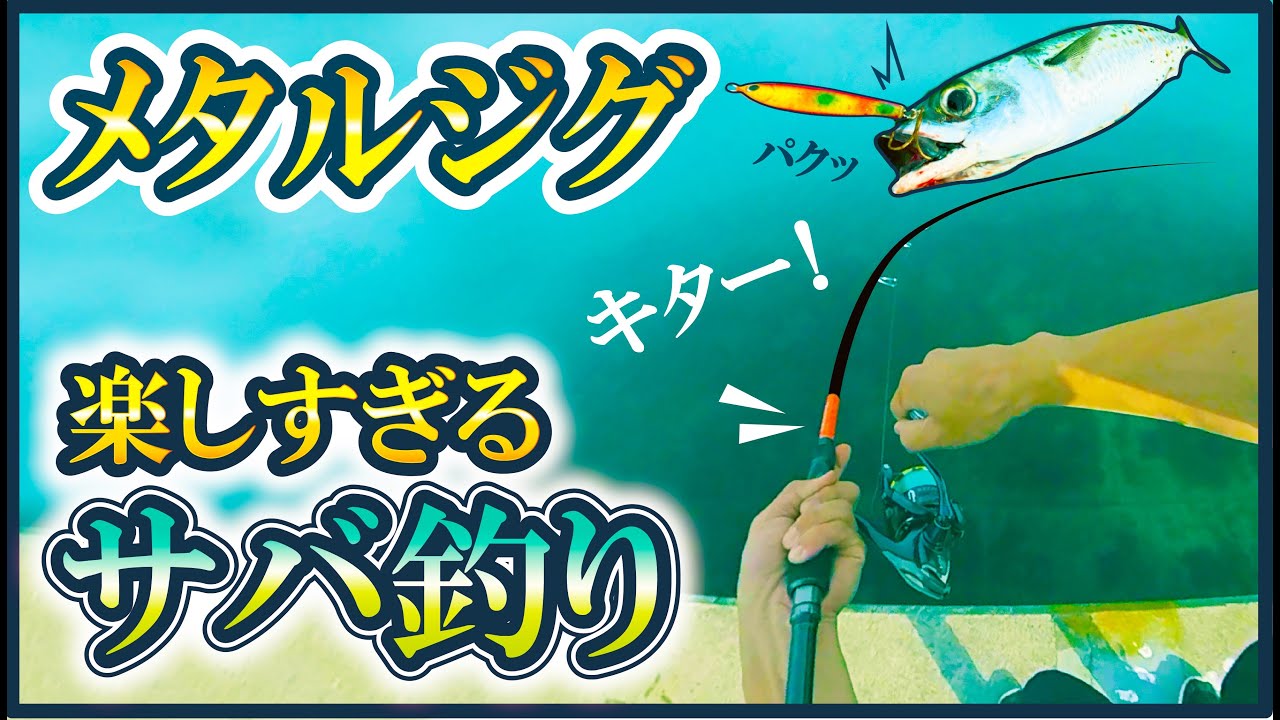 【ライトショアジギング】簡単！手軽に楽しむサバ釣りが楽し過ぎ！