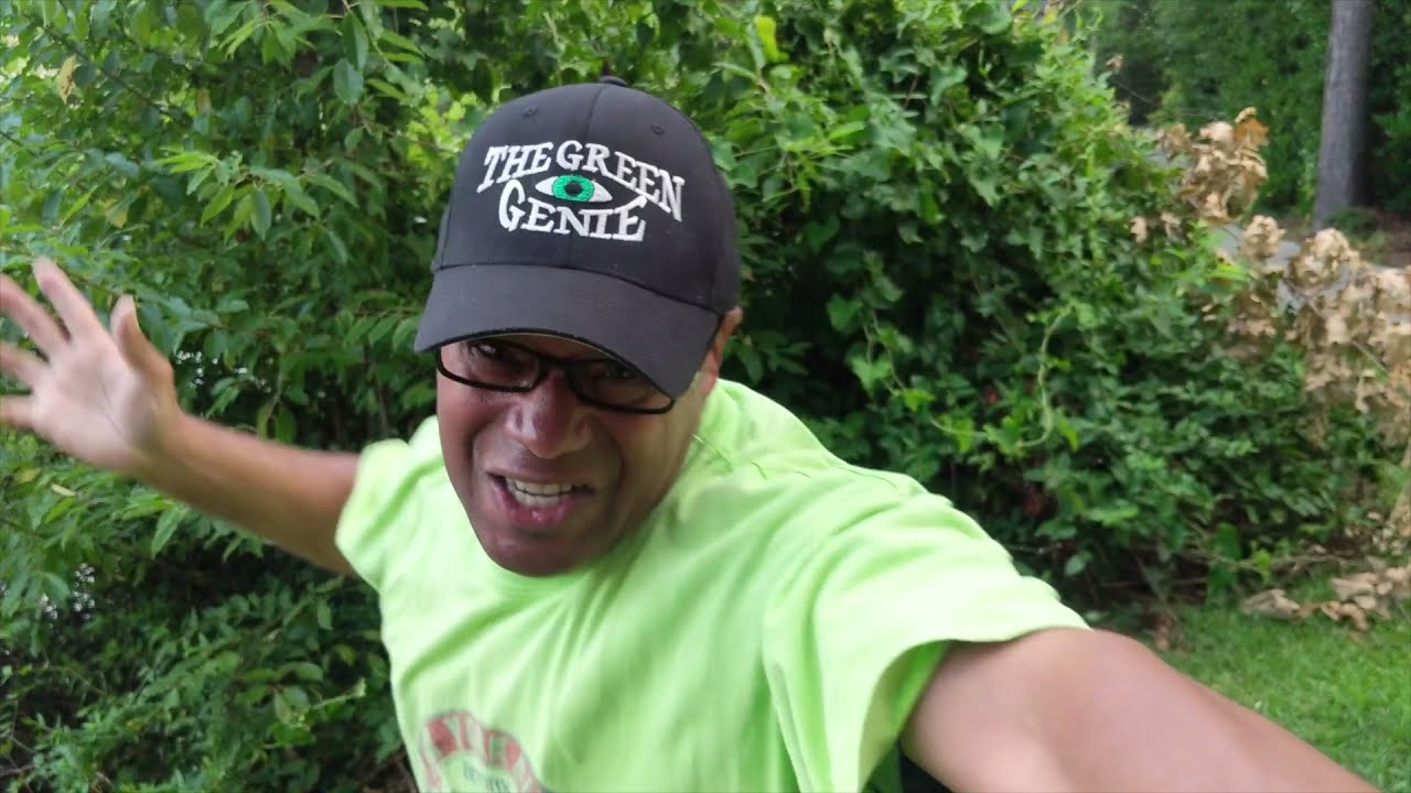 THE INTERVIEW HD TV THE CREATOR OF HIP HOP|PART 2 |THE GREEN EYE GENIE|