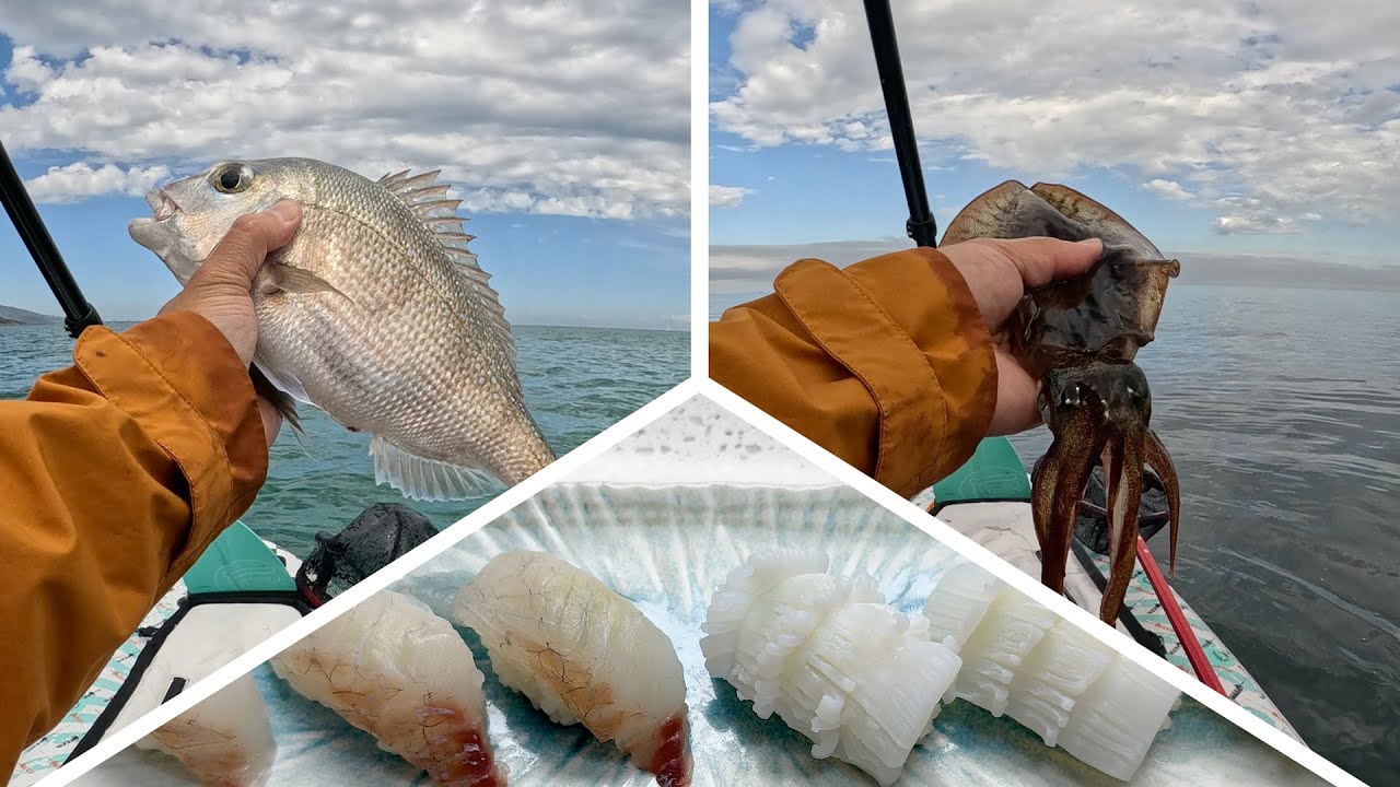 Squid and Snapper Fishing - Mount Martha, Port Phillip Bay