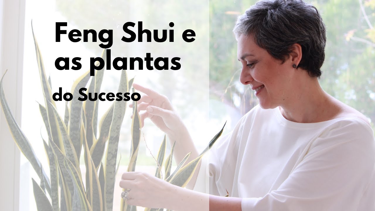 🌱QUE PLANTA TER NA ÁREA DO SUCESSO SEGUNDO O FENG SHUI?