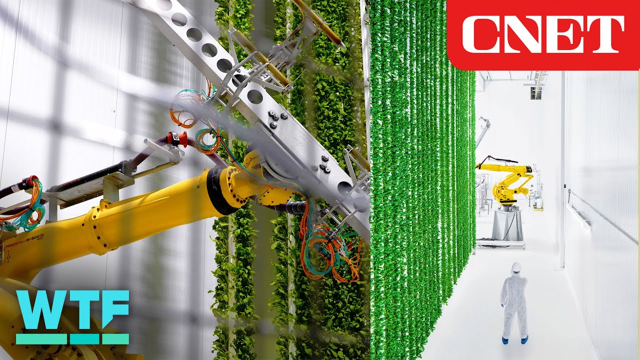 Inside a New Vertical Farm Full of Robots