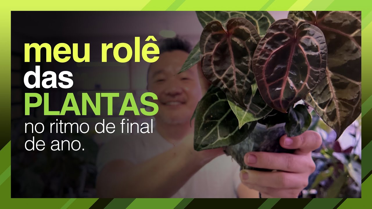 Meu ROLÊ DAS PLANTAS na Paz do Final de Ano - Obrigado 2025!